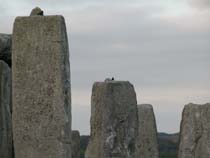 Stonehenge in October
